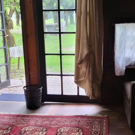 Romanticterrebio * Visnadello