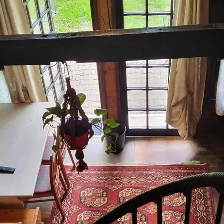 Romanticterrebio Кемпинг