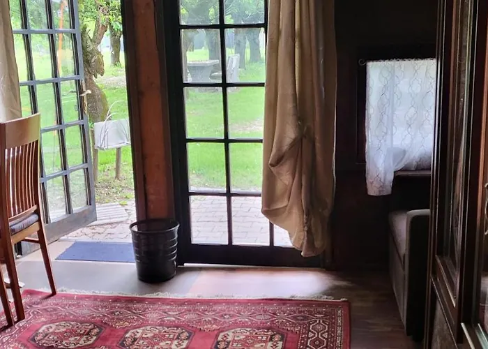 Romanticterrebio * Visnadello